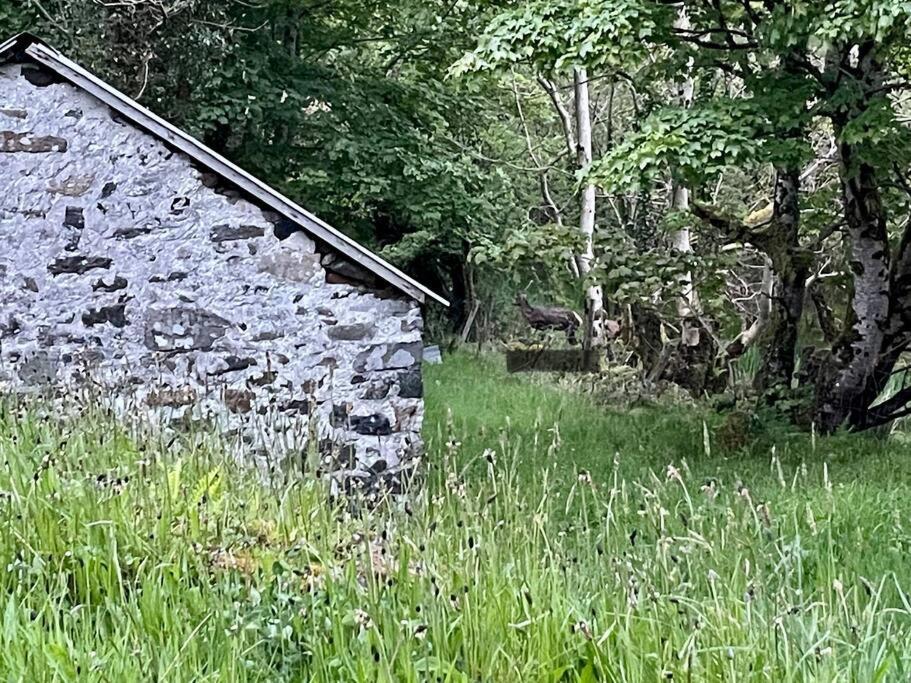 John The Mills Cottage Spahot Tub Private Beach Donegal Town Exteriör bild